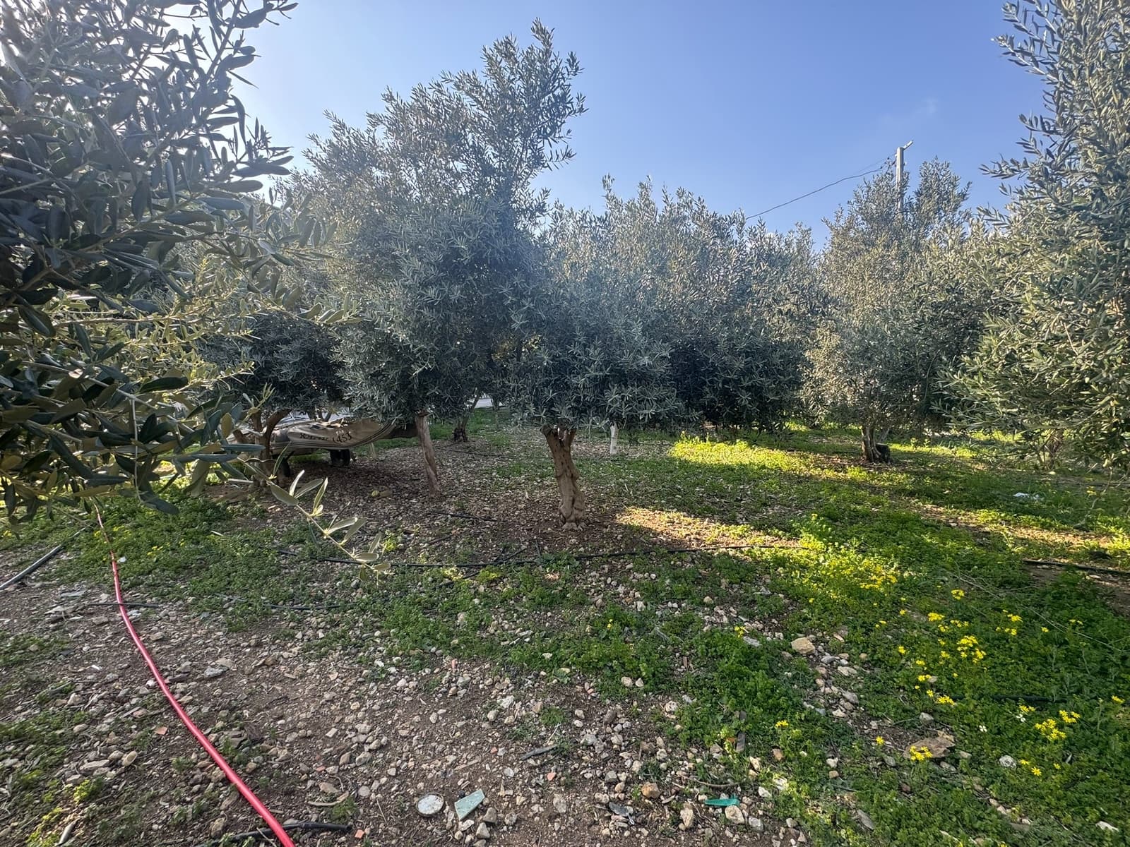 ANTALYA YOLU ÜZERİNDE BAHÇELİ MÜSTAKİL 5 EV - Görsel 27
